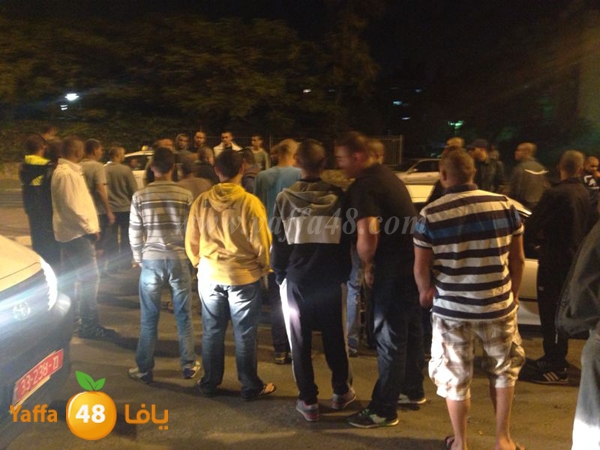 acc 7eshmona2em lud 1113 (7).jpg